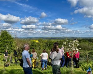 A group of people look out over a view of woods and fields that stretch into the distance. They are chatting to one another. The sky is blue with some gentle clouds. The are standing in a grassed area with some small trees dotted around.