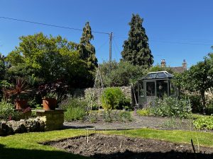 The neat allotment area is bathed in sunshine, made up of several beds of planting. A wooden greenhouse sits at the back, with tomatoes growing inside. Tall trees provide a backdrop to the plot.