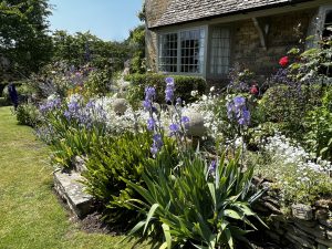 The photo shows a summer garden, with irises, roses and delphiniums in bloom. The bed is in the middle of the picture with a lawned area to the left and the edge of a house behind. Its bay window is set into Cotswold stone walls. The sky is cloudless. Mature trees provide a backdrop to the scene.