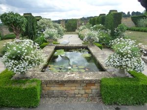 A serene garden pond adorned with delicate white flowers, creating a tranquil and picturesque scene. A white model heron stands in the pond. Box hedging frames the image.