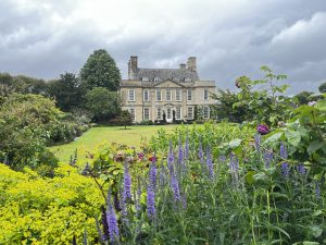 Bourton House & Garden can be seen. It's an overcast day. Tall purple flowers and a yellow plant are in the foreground, they sit in front of the manicured lawn, which is edged by mature planting.